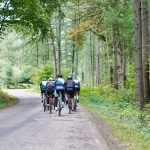 Photo of a group of cyclists taken from behind as they ride down a tree lined narrow road.