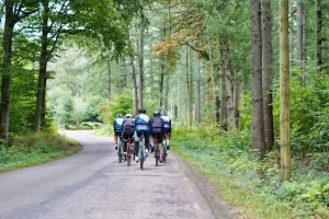 Photo of a group of cyclists taken from behind as they ride down a tree lined narrow road.